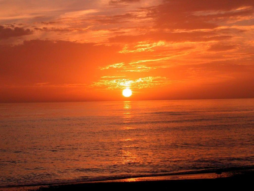 Canal 309 - Right In Siesta Key Village! Dış mekan fotoğraf